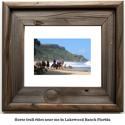 horse trail rides near me in Lakewood Ranch, Florida